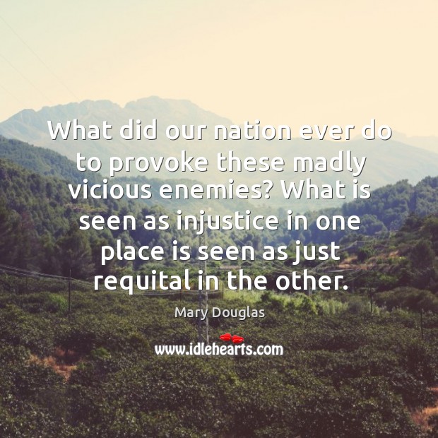 What did our nation ever do to provoke these madly vicious enemies? Mary Douglas Picture Quote