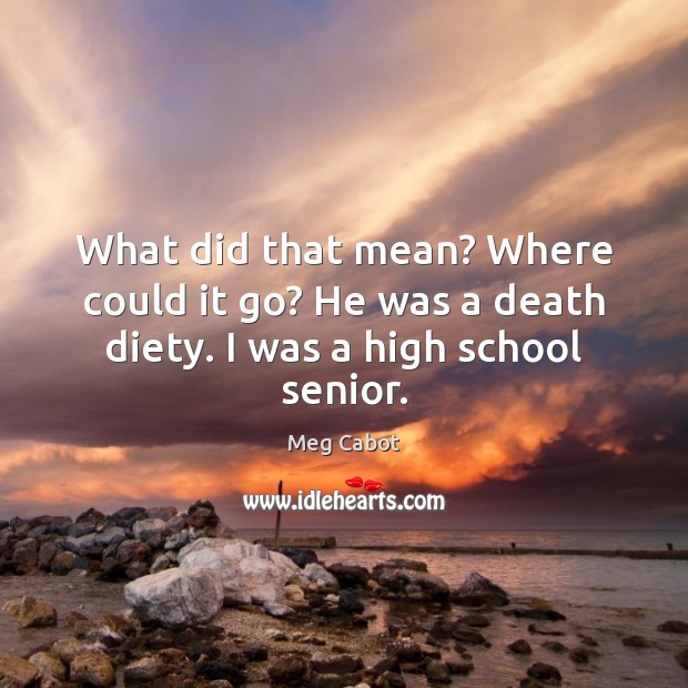 What did that mean? Where could it go? He was a death diety. I was a high school senior. Meg Cabot Picture Quote