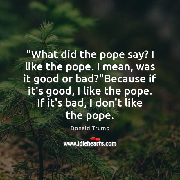 “What did the pope say? I like the pope. I mean, was Donald Trump Picture Quote