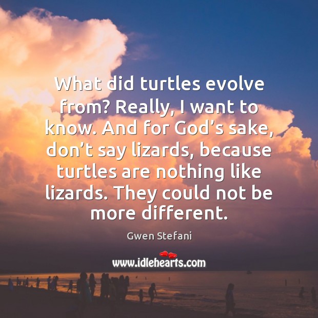What did turtles evolve from? Really, I want to know. And for Image