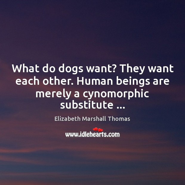 What do dogs want? They want each other. Human beings are merely Elizabeth Marshall Thomas Picture Quote