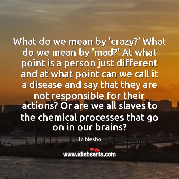What do we mean by ‘crazy?’ What do we mean by Jo Nesbo Picture Quote