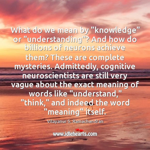 What do we mean by “knowledge” or “understanding”? And how do billions Vilayanur S. Ramachandran Picture Quote