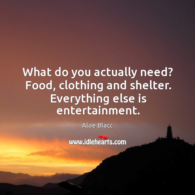 What do you actually need? Food, clothing and shelter. Everything else is entertainment. Aloe Blacc Picture Quote