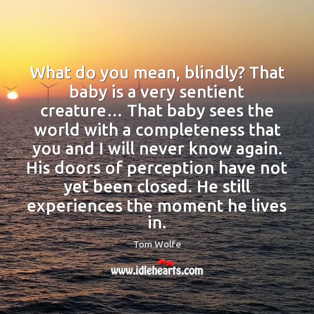 What do you mean, blindly? That baby is a very sentient creature… Tom Wolfe Picture Quote