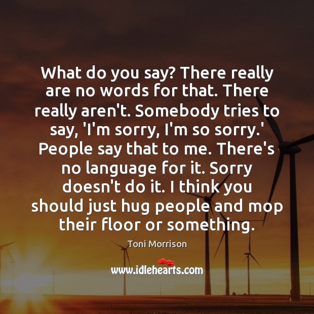 What do you say? There really are no words for that. There Toni Morrison Picture Quote