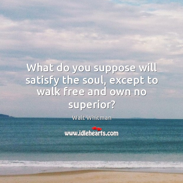 What do you suppose will satisfy the soul, except to walk free and own no superior? Image