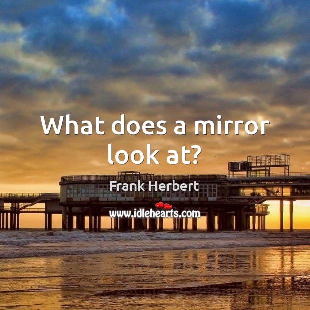 What does a mirror look at? Frank Herbert Picture Quote