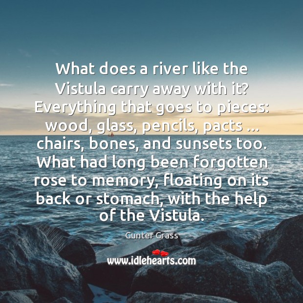 What does a river like the Vistula carry away with it? Everything Gunter Grass Picture Quote