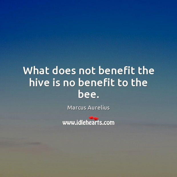 What does not benefit the hive is no benefit to the bee. Image
