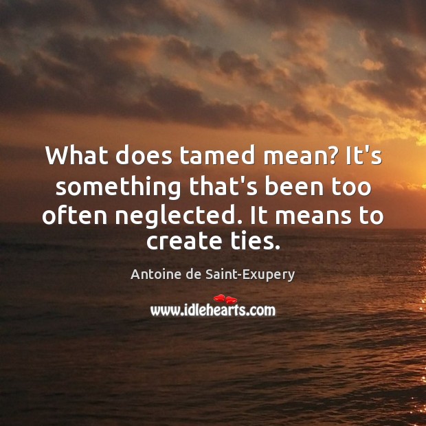 What does tamed mean? It’s something that’s been too often neglected. It Antoine de Saint-Exupery Picture Quote