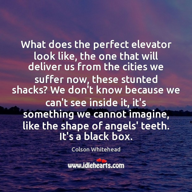 What does the perfect elevator look like, the one that will deliver Colson Whitehead Picture Quote