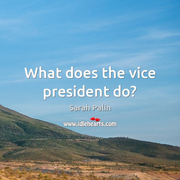 What does the vice president do? Image