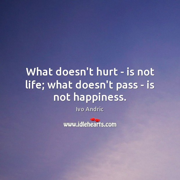 What doesn’t hurt – is not life; what doesn’t pass – is not happiness. Image