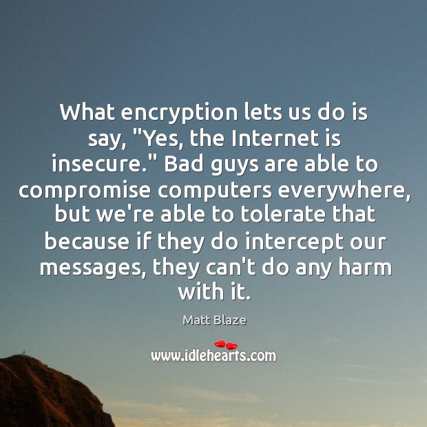 What encryption lets us do is say, “Yes, the Internet is insecure.” Matt Blaze Picture Quote