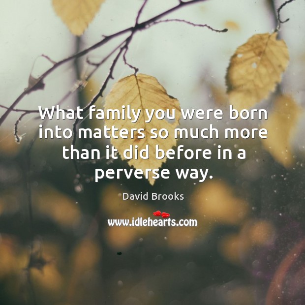 What family you were born into matters so much more than it did before in a perverse way. David Brooks Picture Quote