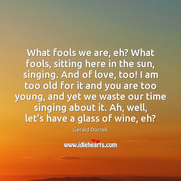 What fools we are, eh? What fools, sitting here in the sun, Gerald Durrell Picture Quote