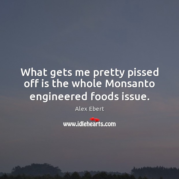 What gets me pretty pissed off is the whole Monsanto engineered foods issue. Alex Ebert Picture Quote