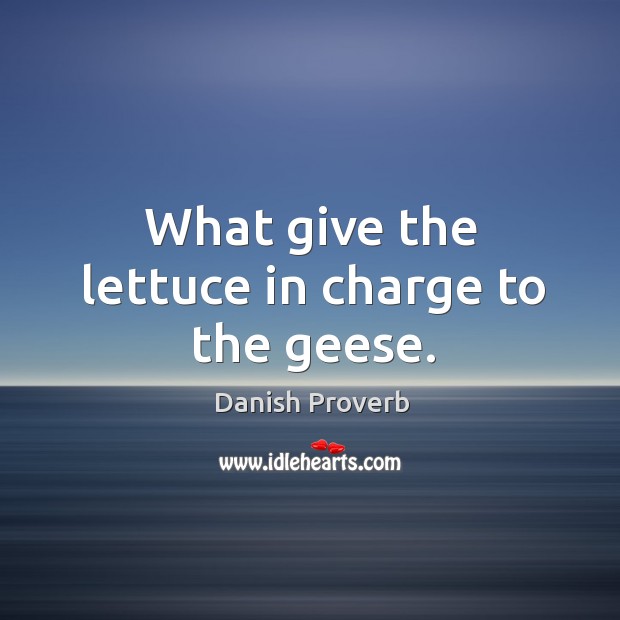 What give the lettuce in charge to the geese. Danish Proverbs Image