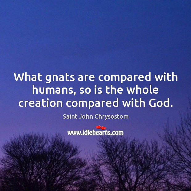 What gnats are compared with humans, so is the whole creation compared with God. Image