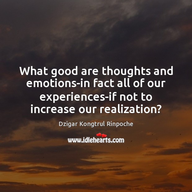 What good are thoughts and emotions-in fact all of our experiences-if not Image