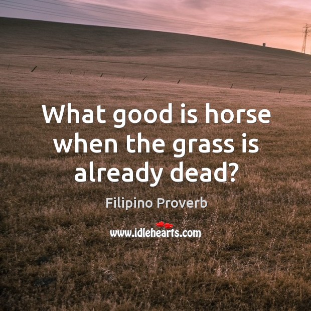 What good is horse when the grass is already dead? Filipino Proverbs Image