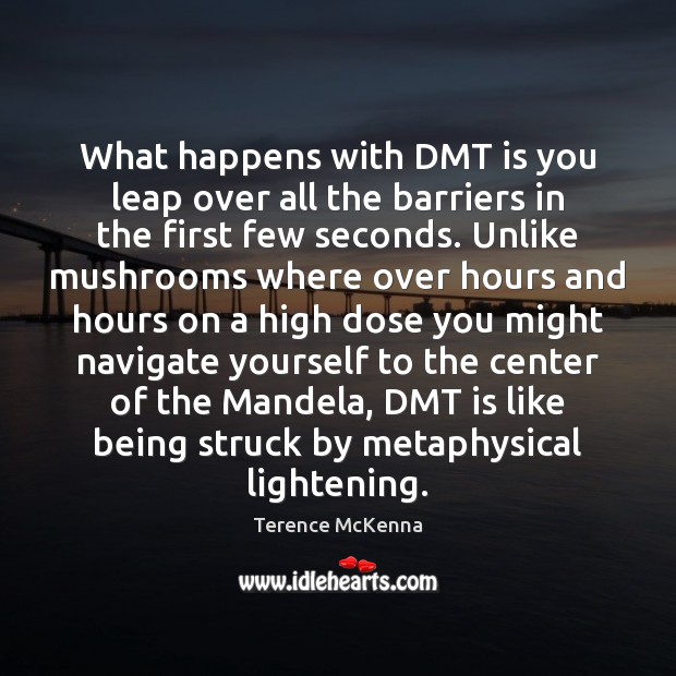 What happens with DMT is you leap over all the barriers in Terence McKenna Picture Quote