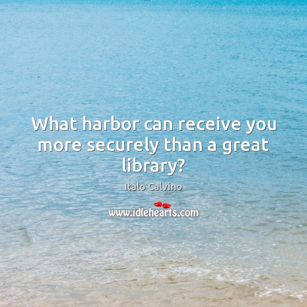What harbor can receive you more securely than a great library? Image