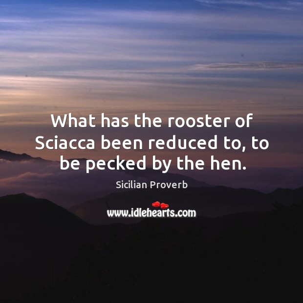 What has the rooster of sciacca been reduced to, to be pecked by the hen. Sicilian Proverbs Image