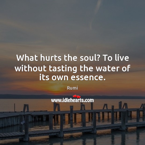 What hurts the soul? To live without tasting the water of its own essence. Image