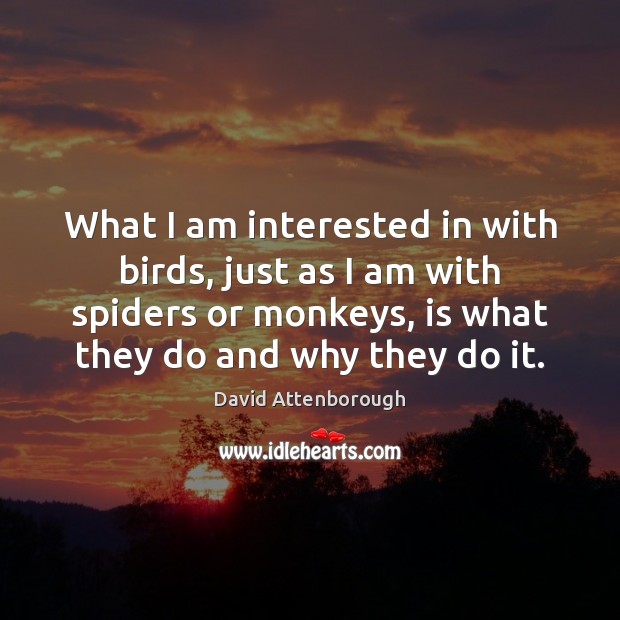 What I am interested in with birds, just as I am with David Attenborough Picture Quote