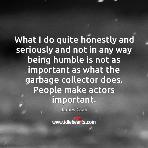 What I do quite honestly and seriously and not in any way James Caan Picture Quote