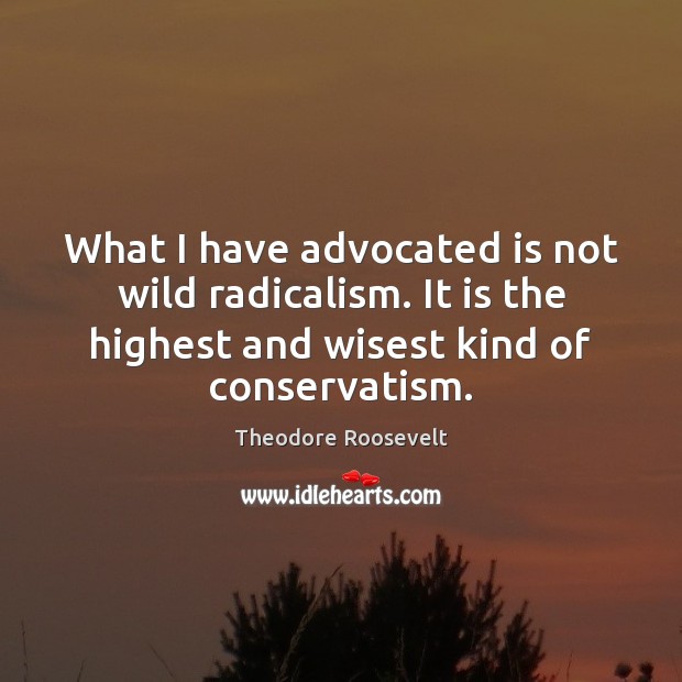 What I have advocated is not wild radicalism. It is the highest Theodore Roosevelt Picture Quote