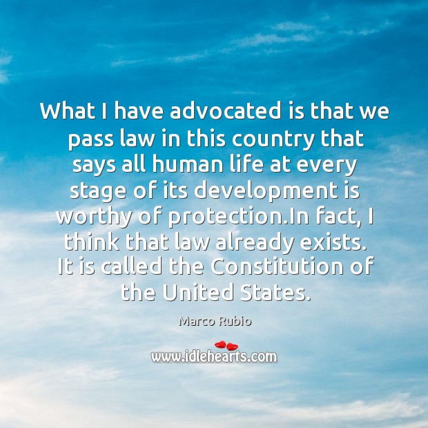 What I have advocated is that we pass law in this country Marco Rubio Picture Quote