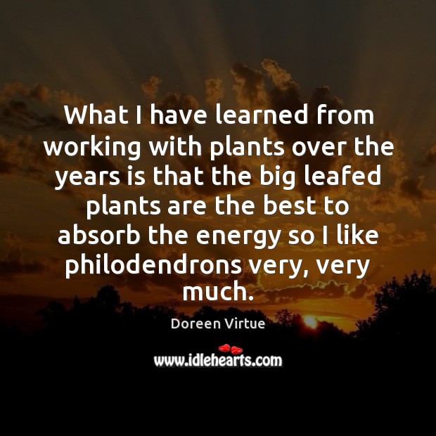 What I have learned from working with plants over the years is Doreen Virtue Picture Quote