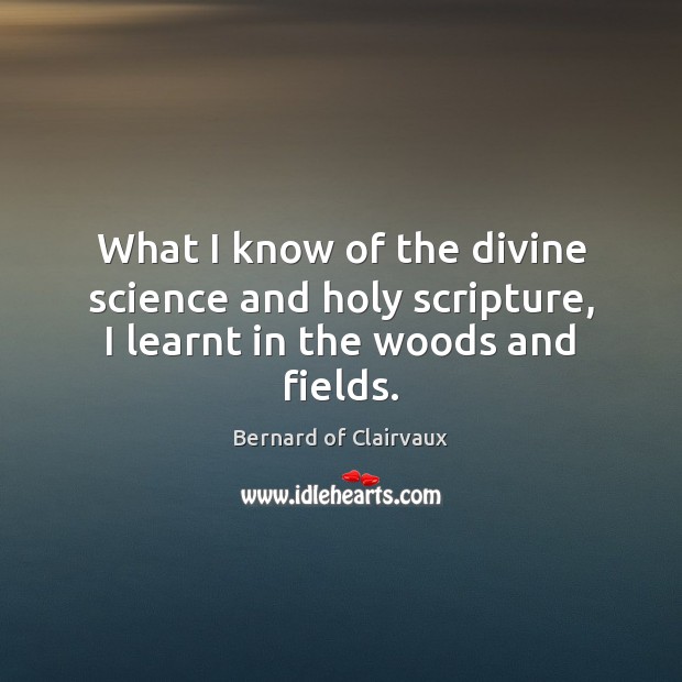 What I know of the divine science and holy scripture, I learnt in the woods and fields. Bernard of Clairvaux Picture Quote
