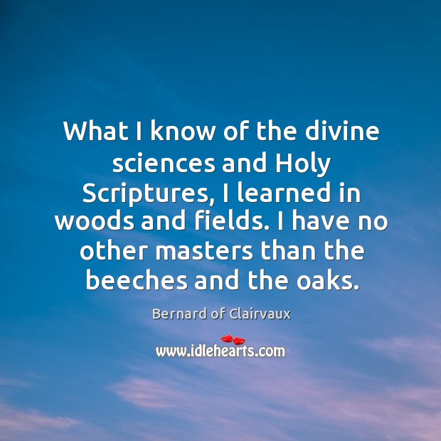 What I know of the divine sciences and Holy Scriptures, I learned Bernard of Clairvaux Picture Quote