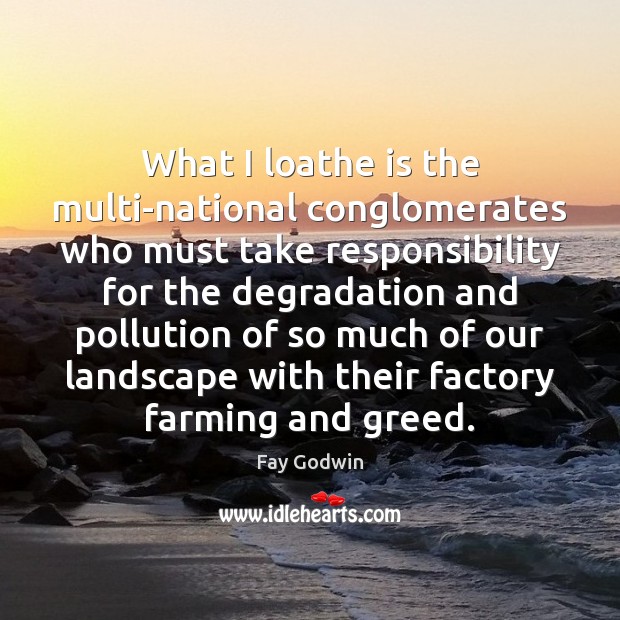 What I loathe is the multi-national conglomerates who must take responsibility for Fay Godwin Picture Quote