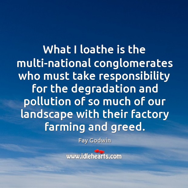What I loathe is the multi-national conglomerates who must take responsibility Fay Godwin Picture Quote