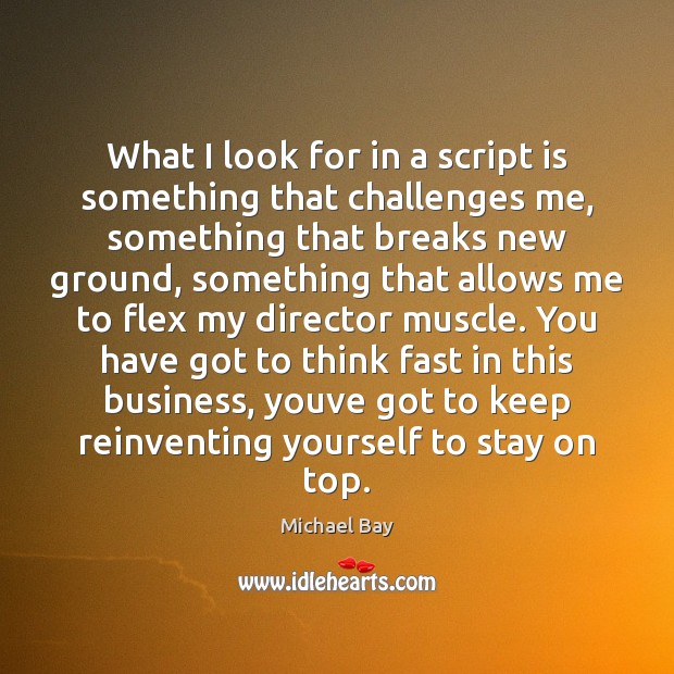 What I look for in a script is something that challenges me, Michael Bay Picture Quote