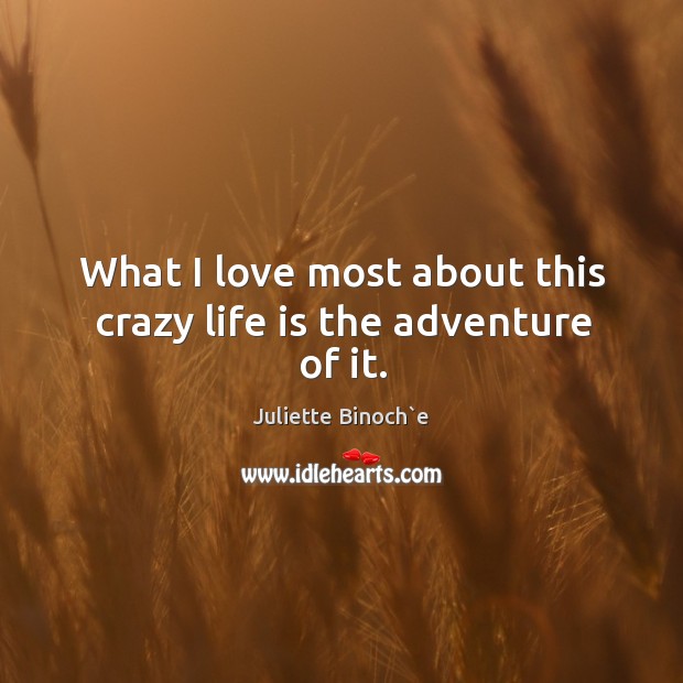 What I love most about this crazy life is the adventure of it. Image