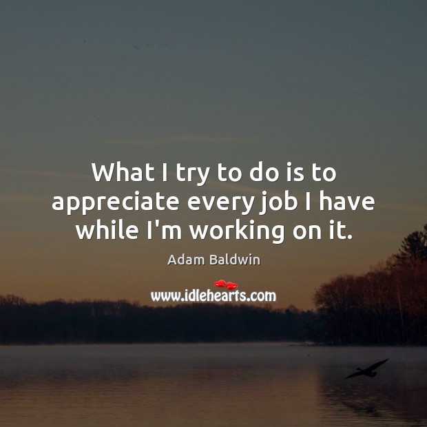 What I try to do is to appreciate every job I have while I’m working on it. Adam Baldwin Picture Quote