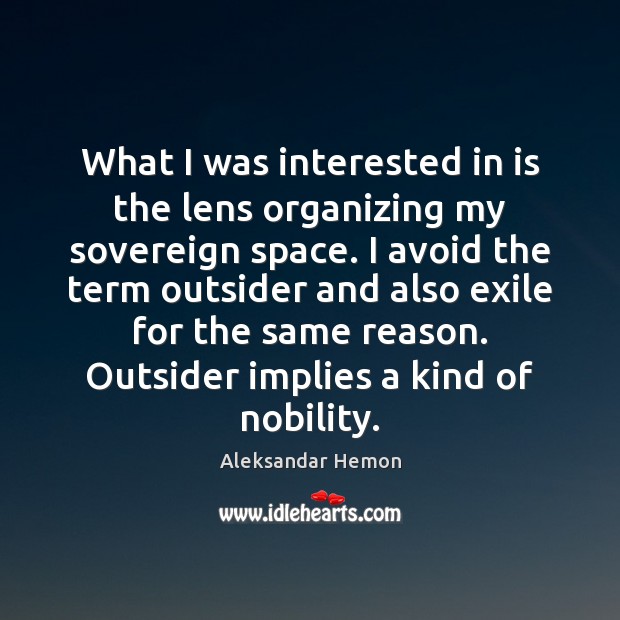 What I was interested in is the lens organizing my sovereign space. Aleksandar Hemon Picture Quote