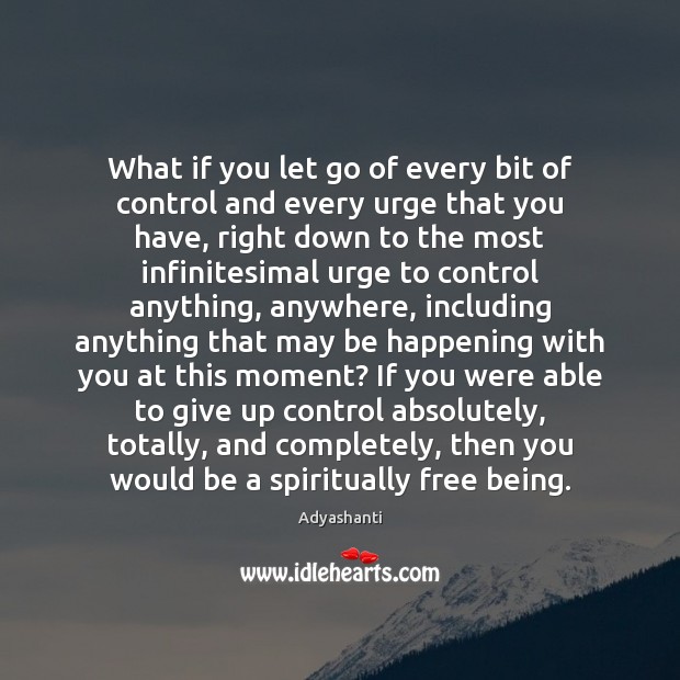 What if you let go of every bit of control and every Adyashanti Picture Quote