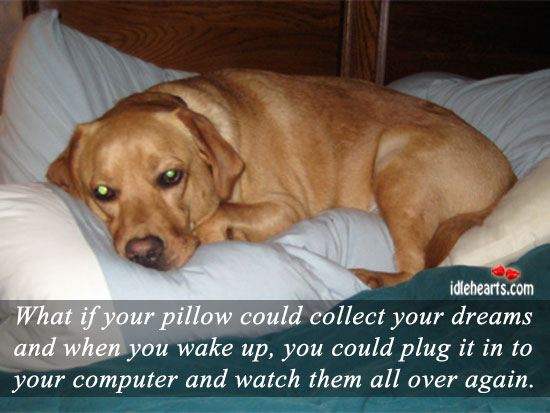 What if your pillow could collect your. Computers Quotes Image
