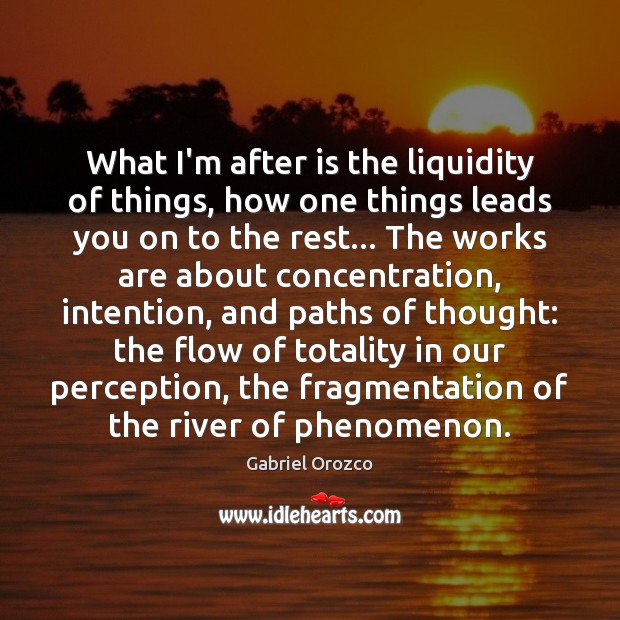 What I’m after is the liquidity of things, how one things leads Gabriel Orozco Picture Quote