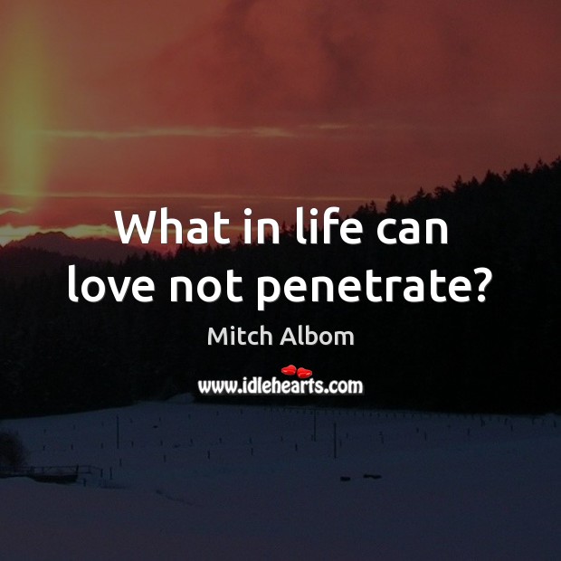 What in life can love not penetrate? Mitch Albom Picture Quote