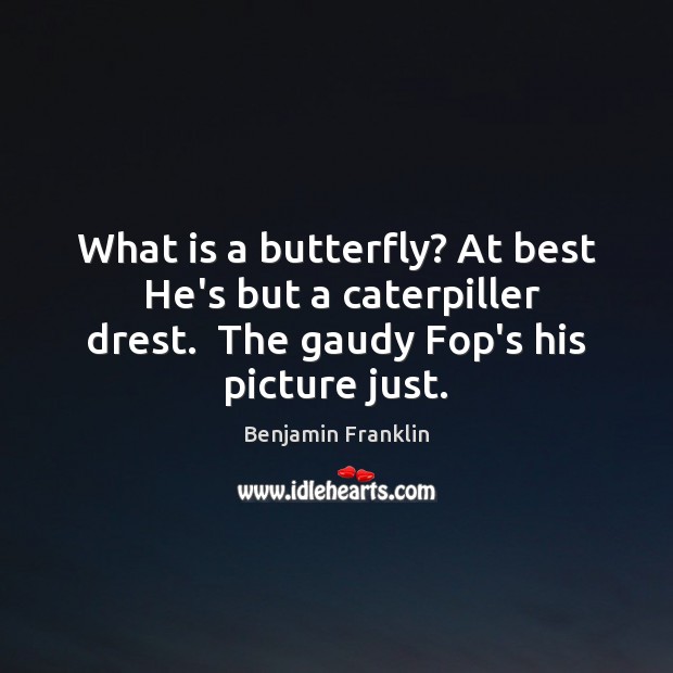 What is a butterfly? At best  He’s but a caterpiller drest.  The Benjamin Franklin Picture Quote
