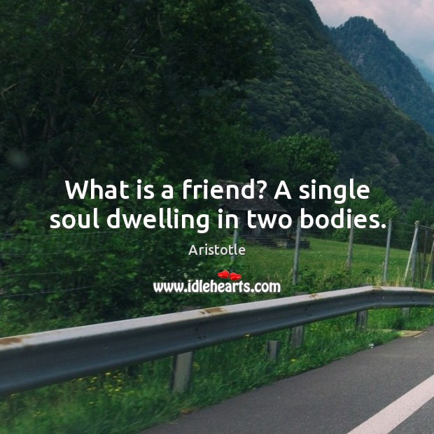 What is a friend? a single soul dwelling in two bodies. Image