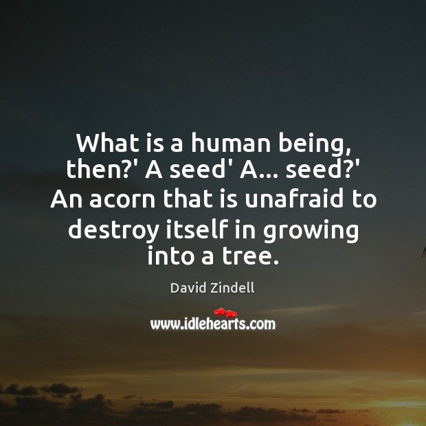 What is a human being, then?’ A seed’ A… seed?’ David Zindell Picture Quote